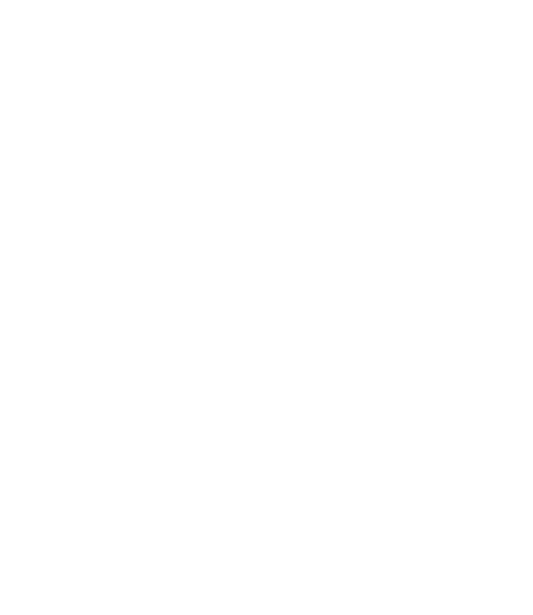 Zeb Logo